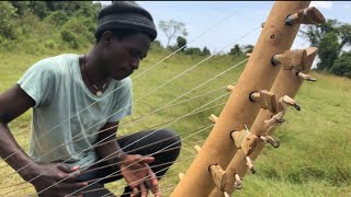 Bow Harp Adungu Music Near Lake Victoria [upl. by Jarrod288]