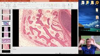 Histology of the Ossification part 1 [upl. by Holcman639]