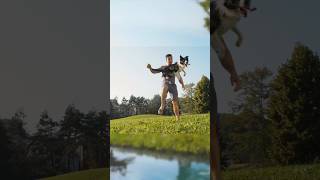 Amazing Border Collie Skills Smartest Dog shorts petlover bordercollie [upl. by Llewol]