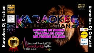 Figurate tu  EL POLACO FT KARINA KARAOKE [upl. by Nahtam]