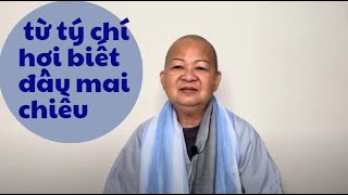 hạ ngươn giáp tý bằng nay từ tý chí hợi biết đâu mai chiều cobavlog [upl. by Feer]