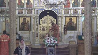 Synodal Cathedral of the Sign Live Stream [upl. by Kaasi]