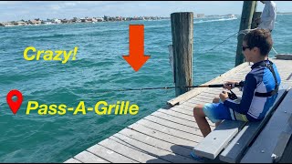 Fishing In PassAGrille Florida For Tropical Fish Awesome [upl. by Millar365]