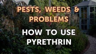 How to Use Pyrethrin [upl. by Elvyn209]