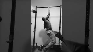 One Arm Pullup Experiment [upl. by Aisiat]