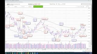 How to use daily market indicators on MarketSmith [upl. by Uok]