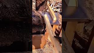 Cutting process of wood with sharp knife saw [upl. by Halyahs]