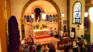 Palm sunday  Jesus and Mary chapel SSPX el Paso Tx [upl. by Rich]