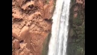 Havasu Falls Flash Flood [upl. by Salvador222]