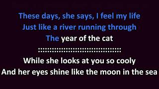 Al Stewart  Year of the Cat KARAOKE [upl. by Enailil67]