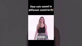 How cats sound in different countries ￼🐈 [upl. by Jayson421]