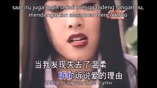 wei ai thing liu lirik dan terjemahan [upl. by Elocen]