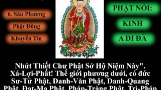 Tụng Kinh A Di Đà Thích Trí Thoát [upl. by Llertram]