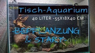 TischAquarium 40 Liter Bepflanzung und Start des Aquariums [upl. by Rehpotsrhc]