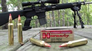 223 Hornady VMAX 55 gr Varmint Express at 200 and 300 Yards [upl. by Ramal136]