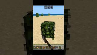 I found a Rabbit then this happened 😕  MINECRAFT [upl. by Atekihc]