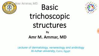 Trichoscopy basic Part 1 Amr Ammar MD [upl. by Trask]