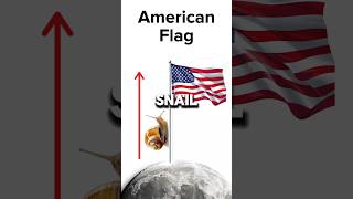 🐌 Snail Climbing Flag on the Moon 🌕 VS 🚀 Spacecraft Racing Around It 🌌 [upl. by Nich]