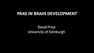 EAC 2021  18  PAX6 in brain development  David Price [upl. by Bakki158]