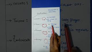 Types Of Aestivation Trick  Morphology Of Flowering Plant  Class 11 [upl. by Ecnaled]