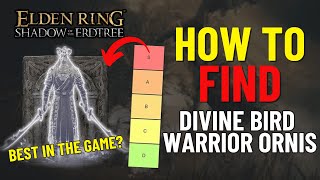 BEST SUMMON OF THE DLC  How to get Divine Bird Warrior Ornis Spirit Ashes  Elden Ring DLC [upl. by Lajet]