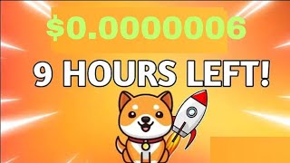 Baby Dogecoin Big News Coming  Burning  BabyDoge Coin Price Pump  Binance Listing [upl. by Adlay743]