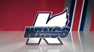 Kalamazoo Wings 201819 Goal Horn [upl. by Pippas]