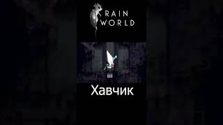 Rain World  Хавчик rainworld spectator3244 shorts [upl. by Ahsasal167]