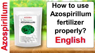 How to use Azospirillum fertilizer properly  English [upl. by Alahc]