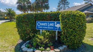 202 Cranes Lake Dr Ponte Vedra Beach FL [upl. by Fleeman]