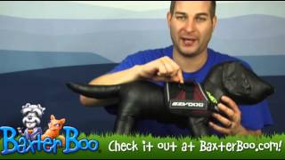 EzyDog Convert Dog Harness [upl. by Ertnod]