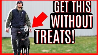 HOW TO GET YOUR DOG TO BEHAVE ANYWHERE [upl. by Aihsened]