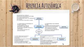 Herencia Autosomica [upl. by Anitniuq]