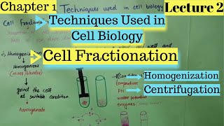 CELL FRACTIONATION  Homogenization  Centrifugation  Techniques Used in Cell Biology [upl. by Brittnee954]