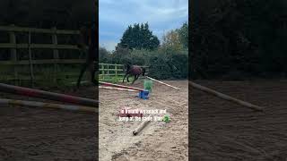 Horse eats whilst jumping [upl. by Vikky]