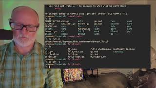 📺 Golang CLI tools with Bonzai 🌳 [upl. by Emoreg780]