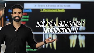 Introduction to dental anatomy 1 ‘’new course‘‘ [upl. by Ekim]