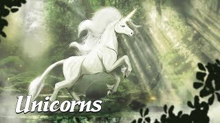 The History of Unicorns Mysterious Legends amp Creatures 7 [upl. by Gnirol]