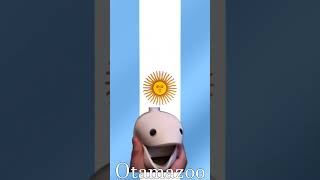 Himno Nacional Argentino 🇦🇷  Otamatone amp Kazoo Cover  National Anthem of Argentina [upl. by Akire796]