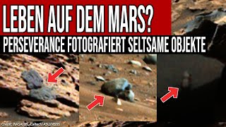 Leben auf dem Mars  Rover Perseverance fotografiert seltsame Objekte [upl. by Scever743]