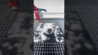 Photo laser engraving of our office dog laserengraving lasercutting [upl. by Meibers87]