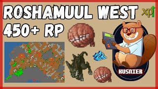 Roshamuul West  450 Paladin  Tibia [upl. by Leiand]