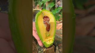 sweet and natural fruits 🥝🍑🍊🍐🍈🍓🥭🍎satisfying fruits cutting fruits shorts [upl. by Brass]