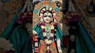 Jai shree radha madhav 🧿🫶✨💖 song live newsong shreekrishna ytshortsshreeradhavrindavan love [upl. by Flory]