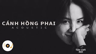 CÁNH HỒNG PHAI  NHỮNG BẢN ACOUSTIC COVER NHẸ NHÀNG THƯ GIÃN HAY NHẤT 2021 2 [upl. by Aidahs266]