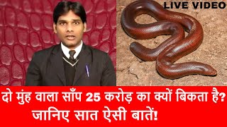 दो मुहा साँप 25 करोड़ का क्यों बिकता है Sand Boa Snake जानिए 7 ऐसी बातें जो बनाती है इसे करोड़ो का। [upl. by Sorkin]