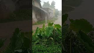 bristi pore tapur tupur shortsviral Bubun youtube [upl. by Crin]