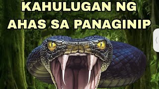 KAHULUGAN NG AHAS SA PANAGINIP [upl. by Hsepid345]