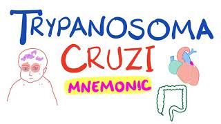 Trypanosoma Cruzi Mnemonic  Chagas Disease [upl. by Stratton]