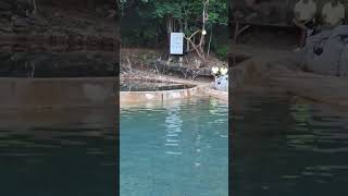 Salt Water Hot Spring in Coron hotspring coron coronpalawan shorts [upl. by Aurelia384]